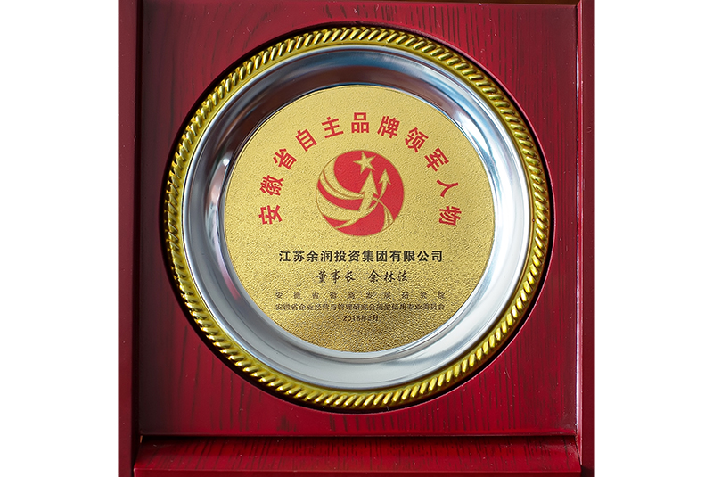 安徽省自主品牌領(lǐng)軍人物